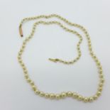 A string of seed pearls with 9ct gold clasp
