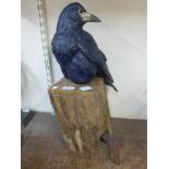 A cast metal figural crow on a wooden base