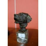 A bronze bust of a retriever, on grey marble socle