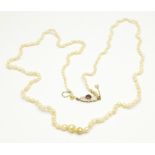 A freshwater pearl necklace with 9ct gold clasp