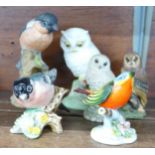 Six bird figures including Beswick, Royal Adderley and Royal Doulton