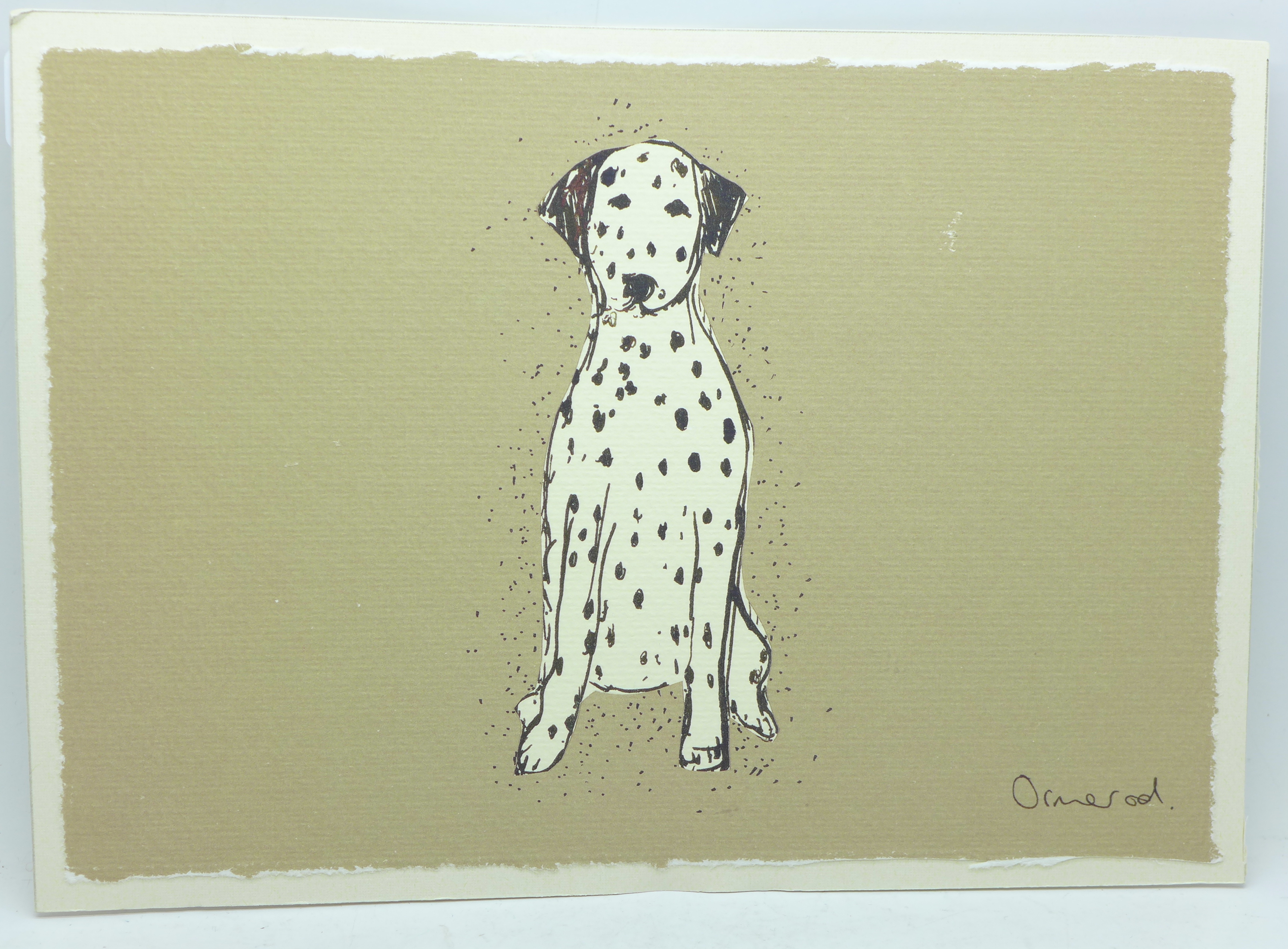 A pen and ink drawing of a dalmatian, signed (Clare) Ormerod