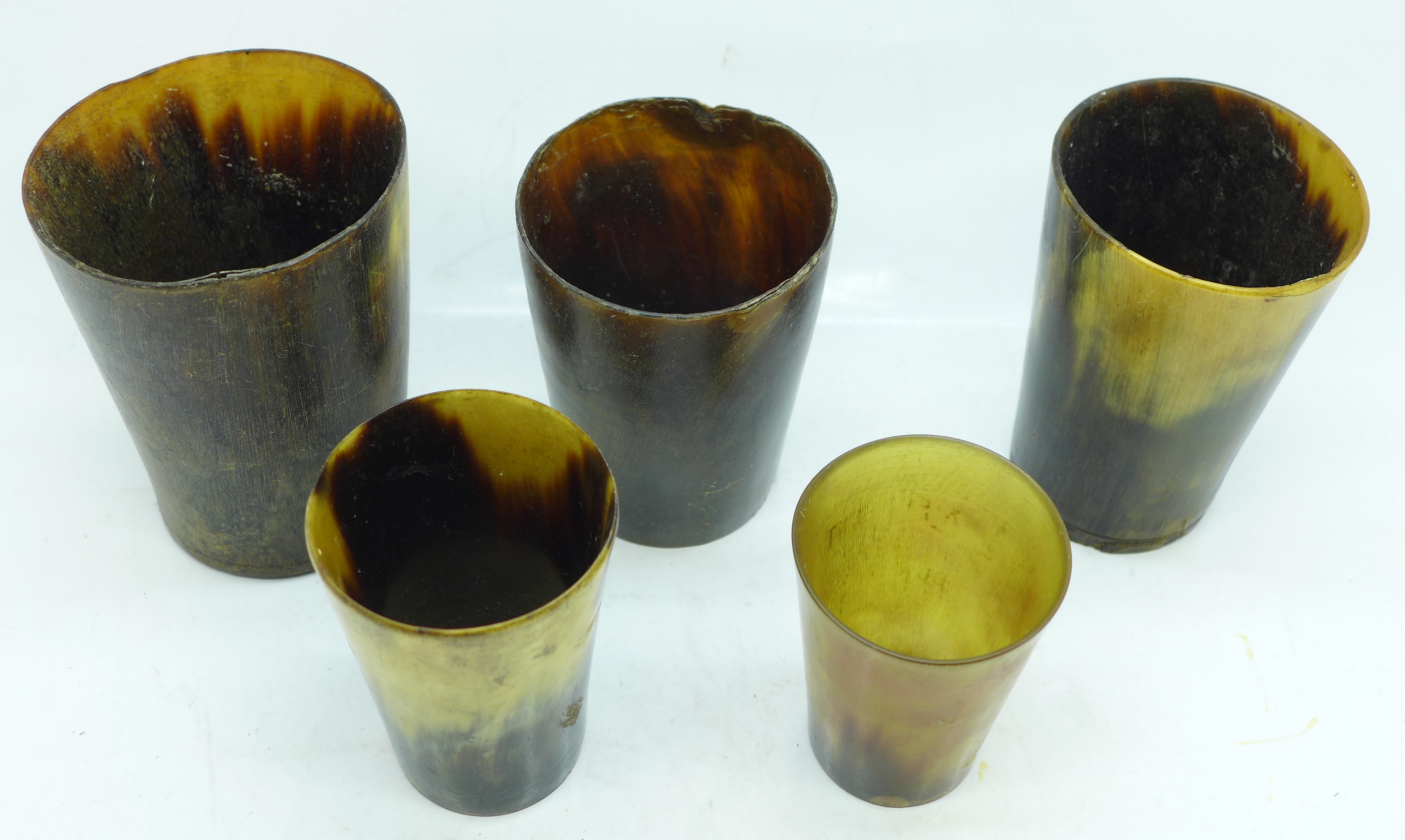 Five horn beakers - Image 2 of 2