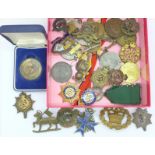 A collection of military badges and assorted medallions