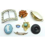 Seven brooches and a buckle