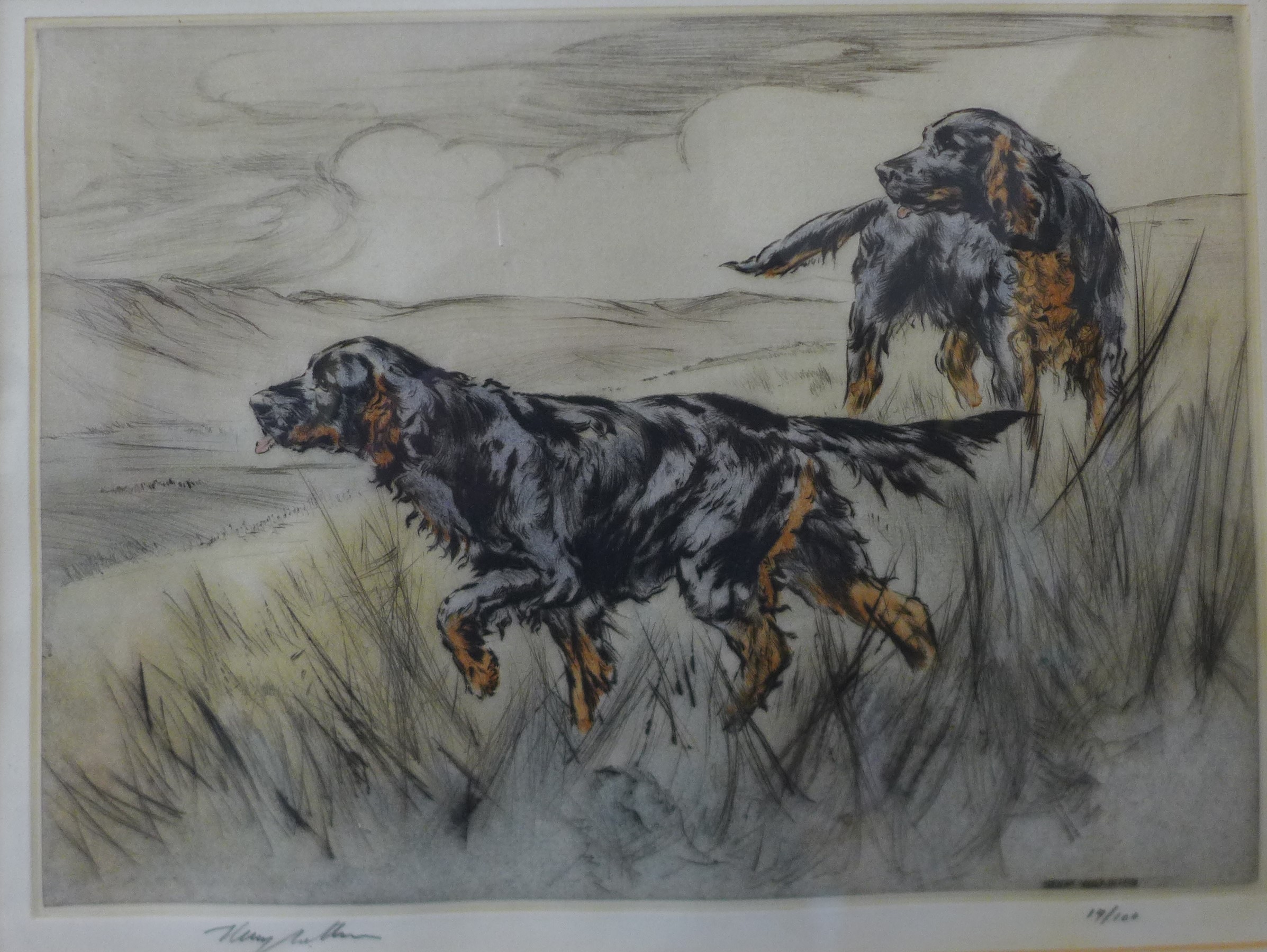 A signed Henry Wilkinson limited edition etching, pair of English setters, no.19/100, 27 x 37cms,