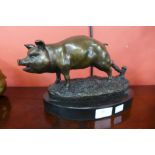 A French style bronze pig, on black marble socle