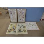 Assorted unframed prints of birds and botanical prints and two framed prints of shells