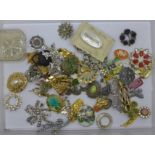 Costume brooches (53)