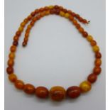An amber necklace, 36.7g