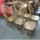A set of six Ercol Blonde chairs