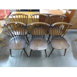A set of six Ercol Golden Dawn chairs