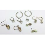 Five pairs of silver earrings, (and one single earring)