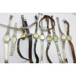 Twelve lady's wristwatches