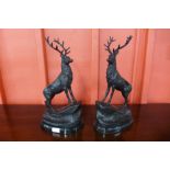 A pair of small French style bronze stags, on black marble socles