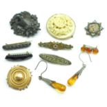 A 9ct gold brooch, 4.9g, two carved brooches, a micro mosaic brooch, five other brooches and a