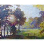 Fred Darking (1911-1999), Evening Sun Through Trees, oil on board, 33 x 41cms, framed