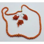 A pair of Victorian coral earrings, a pendant and a necklace