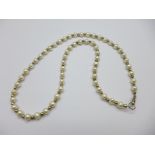 A silver mounted freshwater pearl necklace