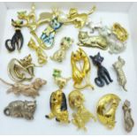 A collection of cat and dog brooches