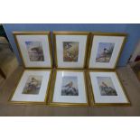 A set of six limited edition Archibald Thorburn ornithological prints, framed