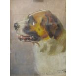 H.A. Clough, study of Smooth St. Bernard, oil on board, dated 1899, 28 x 20cms, framed