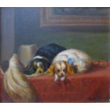 H.A. Clough, study of two King Charles spaniels, oil on board, 19 x 22cms, framed