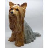 A Beswick Yorkshire Terrier figure, 2377