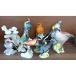 A collection of bird figures, including Beswick Jay, Goebel Robin, one other Goebel, Royal