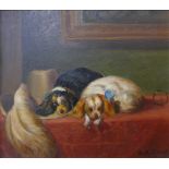 H.A. Clough, study of two King Charles spaniels, oil on board, 19 x 22cms, framed