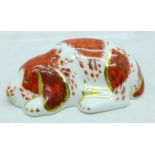A Royal Crown Derby Collector's Guild Puppy paperweight, gold stopper, boxed