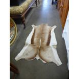 A springbok hide rug