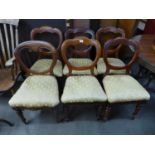 A Harlequin set of six Victorian mahogany balloon back dining chairs