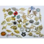 Fifty brooches