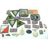 A collection of cap badges, cloth badges, pin badges, etc., including a WWII medal