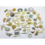 Fifty brooches