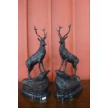 A pair of bronze stags on black marble plinths