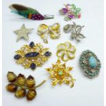 Ten brooches