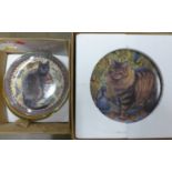 A Danbury Mint Cats From Around The World collector's plates **PLEASE NOTE THIS LOT IS NOT