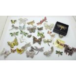 A collection of butterfly brooches