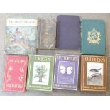 Eight books;- Black's Guide to Nottinghamshire; Hans Andersen, The Nightingale; Rambles in
