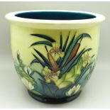 A Moorcroft bullrush planter, AB, 1995, 16.5cm, crazed