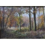 Peter Barker (b.1954), Autumn, Southwick Wood and Sunlight, Wakerley Wood, 9cms x 12cms, oil on