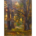 Joseph Victor Communal (French 1876-1962), forest landscape, oil on board, 34 x 25cms, framed