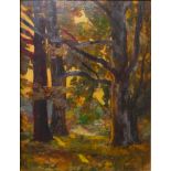 Joseph Victor Communal (French 1876-1962), forest landscape, oil on board, 34 x 25cms, framed