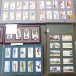 Four albums of cigarette cards, Cavanders Army Club, Wills' and Lambert & Butler