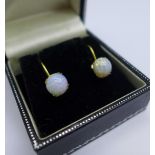 A pair of 9ct gold screw back earrings set with coloured cabochon stones
