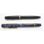 Two fountain pens with 14ct gold nibs, Parker Maxima and Swan