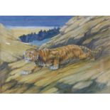 Gilbert Dodd (book illustrator), study of a tiger, watercolour, 24 x 32cms, framed