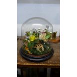 A Victorian glass domed wax flower display